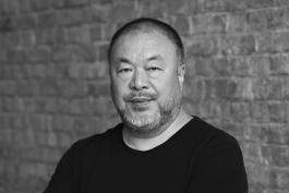 Ai Weiwei - Scénariste,Illustrateur