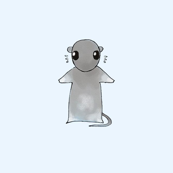 Rat
