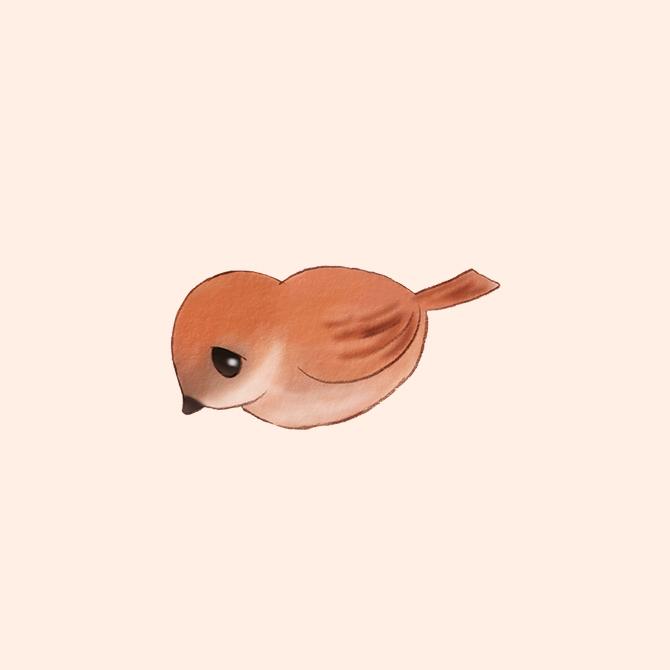 Coq