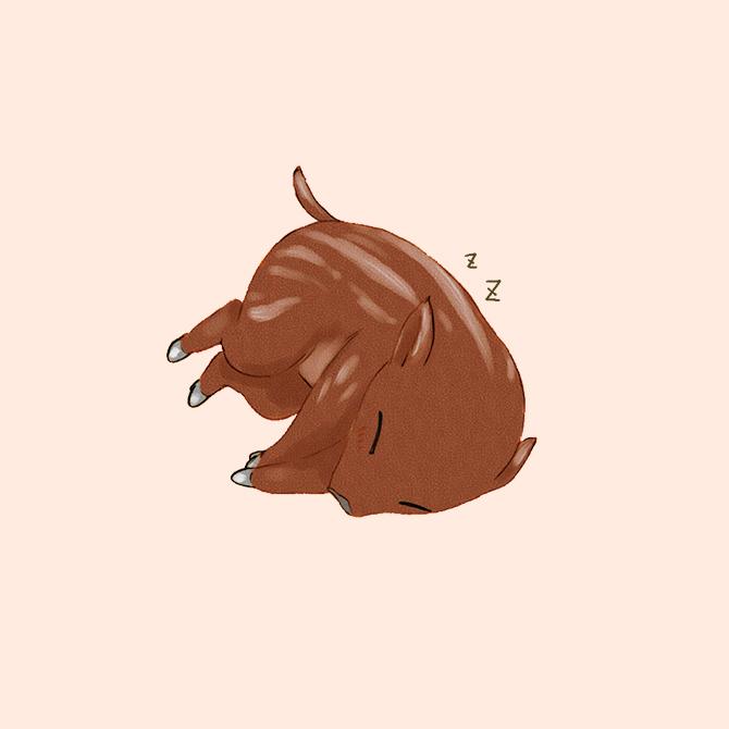 Porc