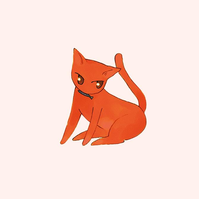 Chat