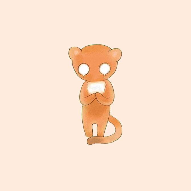 Singe
