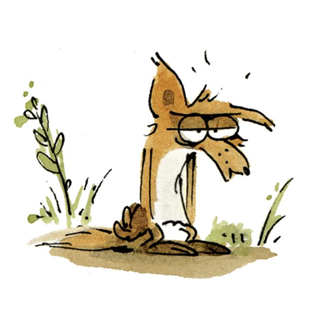 Grand mechant renard