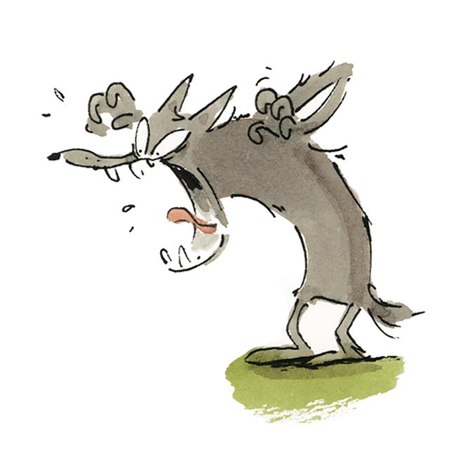 Grand mechant renard le loup