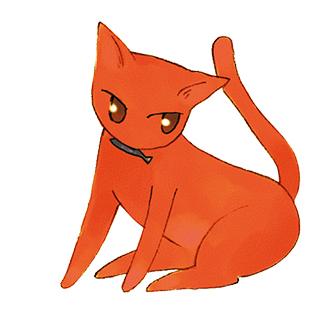 Chat