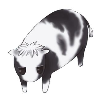 boeuf