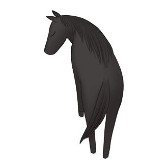 Cheval