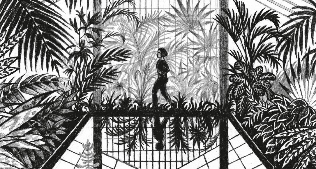 Extrait d’image n°7 du roman graphique Perpendiculaire au soleil
